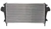 Интеркуллер THERMOTEC DAX004TT (фото 1)