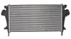 Интеркуллер THERMOTEC DAX004TT (фото 2)