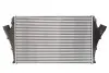 Интеркуллер THERMOTEC DAX005TT (фото 1)