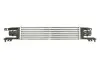 Интеркуллер THERMOTEC DAX010TT (фото 1)
