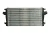 Интеркуллер THERMOTEC DAX013TT (фото 1)