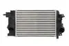 Інтеркулер THERMOTEC DAX017TT (фото 1)