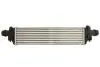Інтеркулер THERMOTEC DAX021TT (фото 2)