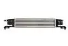 Інтеркулер OPEL CORSA D, CORSA D/HATCHBACK 1.3D 07.06-08.14 THERMOTEC DAX028TT (фото 1)