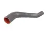 Шланг интеркулера THERMOTEC DCF038TT (фото 1)