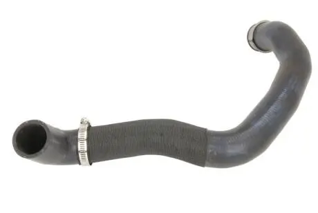 Автозапчасть THERMOTEC DWM174TT