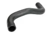 Шланг радиатора THERMOTEC DWX239TT (фото 1)