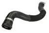 Шланг гумовий системи охолодження THERMOTEC DWX249TT (фото 1)