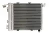 Радиатор кондиционера THERMOTEC KTT110000 (фото 2)