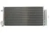 Радиатор кондиционера THERMOTEC KTT110403 (фото 1)