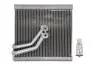 Испаритель, кондиционер THERMOTEC KTT150051 (фото 1)