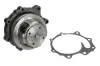 Насос охолоджуючої рідини THERMOTEC WP-NH010 (фото 2)