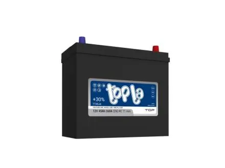 45Ah/12V Top/Energy Japan Euro (0) 54523 300 (EN) 234х128х200/222 Topla 118 845