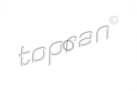Елемент уприскування Monopoint TOPRAN / HANS PRIES 100678 (фото 1)
