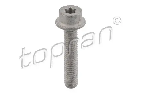 Болт металевий TOPRAN / HANS PRIES 411097