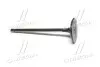 Клапан впускний Land Cruiser 12- RAV4 Camry Lexus TOYOTA 1371131101 (фото 3)