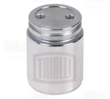 Поршень зад. суппорта для а/м Ford/Mazda/Opel/Renault/SAAB/VOLVO d=38mm Trialli RCF 102064