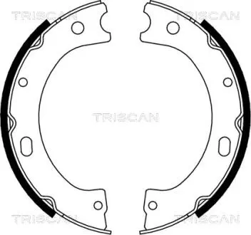 Комплект гальмівних колодок, Стоянкове гальмо TRISCAN 810014011