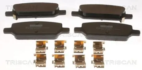 Колодки гальмівні (задні) Tesla Model 3 17- TRISCAN 811081005