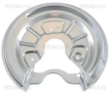 Кожух диска гальмівного TRISCAN 8125 29203