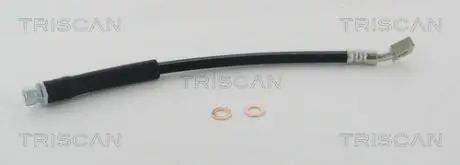 Патрубок TRISCAN 8150 17300