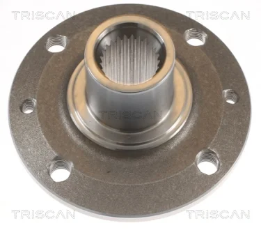 Маточина (передня) Renault Scenic 2.0 i 09- TRISCAN 8535 25005