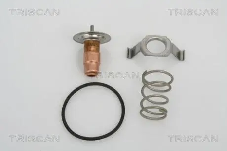 Термостат TRISCAN 8620 13487