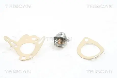 Термостат TRISCAN 8620 2788