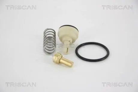 Термостат TRISCAN 8620 34487