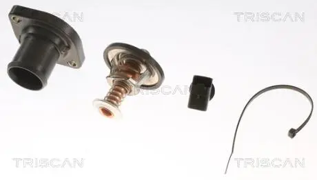 Термостат системи охолодження TRISCAN 862039689