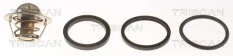 Термостат TRISCAN 8620 3988