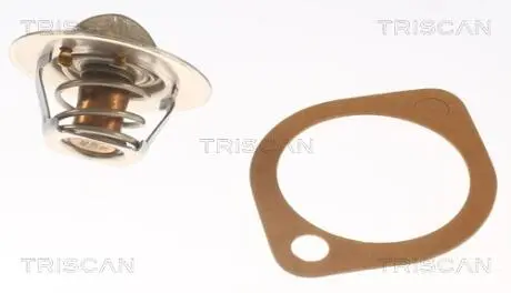Термостат TRISCAN 8620 5791