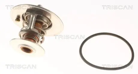 Термостат TRISCAN 8620 9691