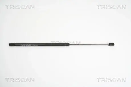 Пружина газова / помещения для груза TRISCAN 871011225