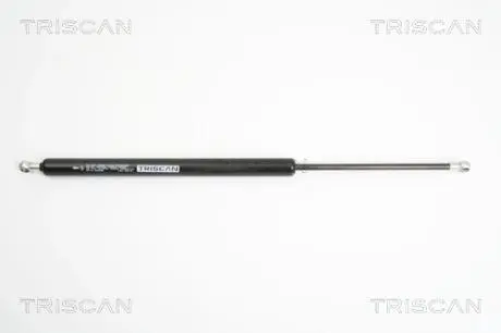 Пружина газова / приміщення для вантажу TRISCAN 871025236
