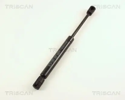Пружина газова / приміщення для вантажу TRISCAN 871029231