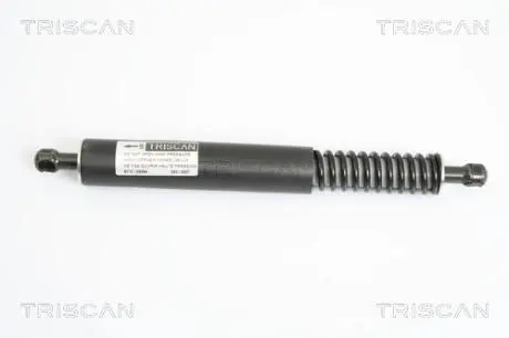 Пружина газова / помещения для груза TRISCAN 871029264