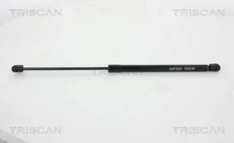 Пружина газова / помещения для груза TRISCAN 871029294