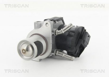 Клапан AGR TRISCAN 881311001 (фото 1)