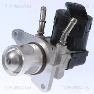 Клапан AGR TRISCAN 881311001