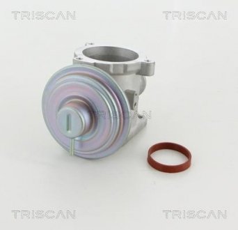 Клапан AGR TRISCAN 881311003