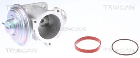 Клапан AGR TRISCAN 881311003