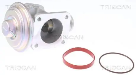Клапан EGR TRISCAN 881311004