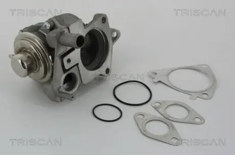 Клапан рецеркуляції відпрацьованих газів TRISCAN 881328019