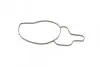 Помпа води MB C-class (W202/S202/W203/S203)/E-class (W210/S210) 2.2/2.7CDI 97-09 AUTOMOTIVE TRUCKTEC 02.19.168 (фото 9)