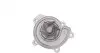 Помпа води MB Vaneo 1.6/1.7 CDI/1.9 02-05 AUTOMOTIVE TRUCKTEC 02.19.201 (фото 4)