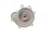 Помпа води MB C-class (W203/W204)/E-class (W211/W212) 02- AUTOMOTIVE TRUCKTEC 02.19.325 (фото 3)