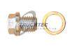 Нарезная пробка, масляный поддон TRUCKTEC 0243117 (фото 1)