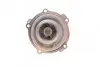 Помпа води Audi A4/A6/Skoda Felicia/VW Golf/Caddy/Passat/Polo 1.9D/TDI/SDI 95-/Polo 1.7SDI 97-01 AUTOMOTIVE TRUCKTEC 07.19.080 (фото 3)