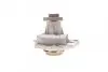 Помпа води Audi A4/A6/Skoda Felicia/VW Golf/Caddy/Passat/Polo 1.9D/TDI/SDI 95-/Polo 1.7SDI 97-01 AUTOMOTIVE TRUCKTEC 07.19.080 (фото 5)